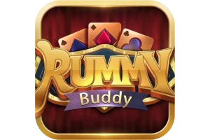 Rummy Buddy