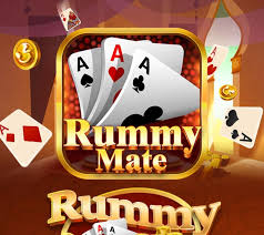 Rummy Mate