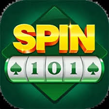 Spin 101