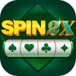 Spin 2x