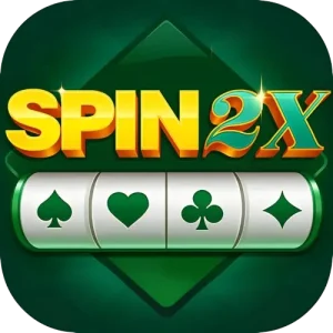 Spin 2x